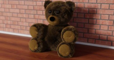 Der Teddy Bär Der Teddy Bär